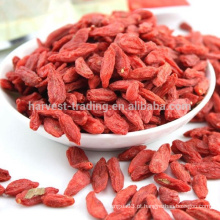 Bagas de goji secas orgânicas orgânicas certificadas de alta qualidade